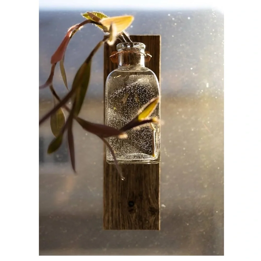 Rustic Wall Mounted Glass Vase with Greenery
